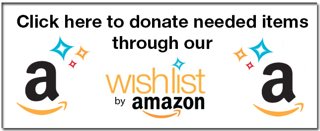 Amazon Wish list.png